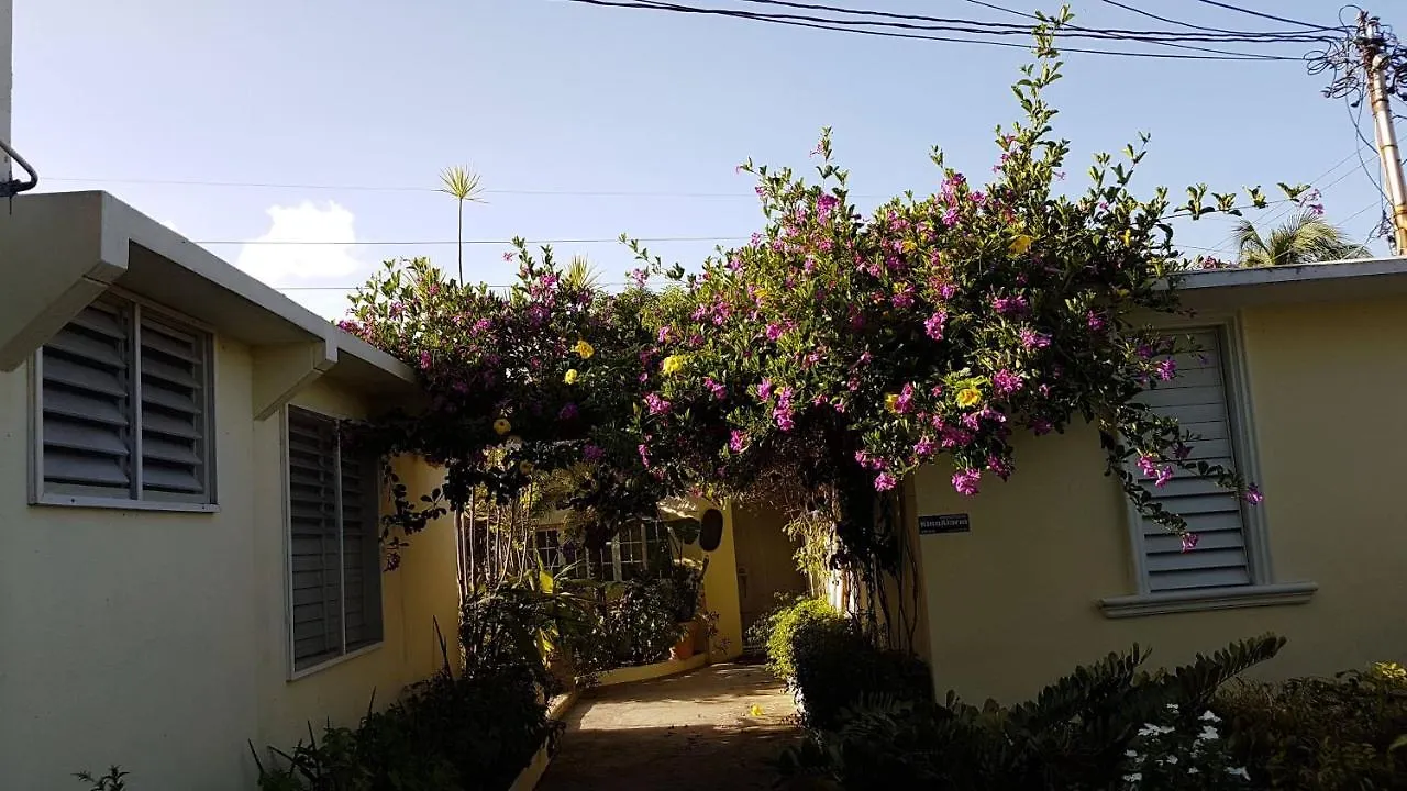 Kingston Cottage 0*,  Jamaica