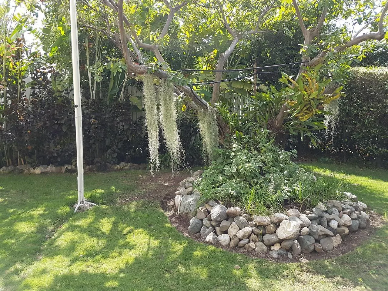 Kingston Cottage 0*,  Jamaica