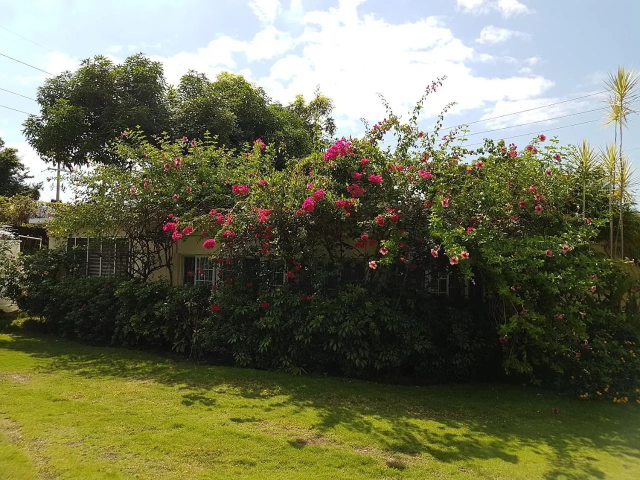 Kingston Cottage Jamaica